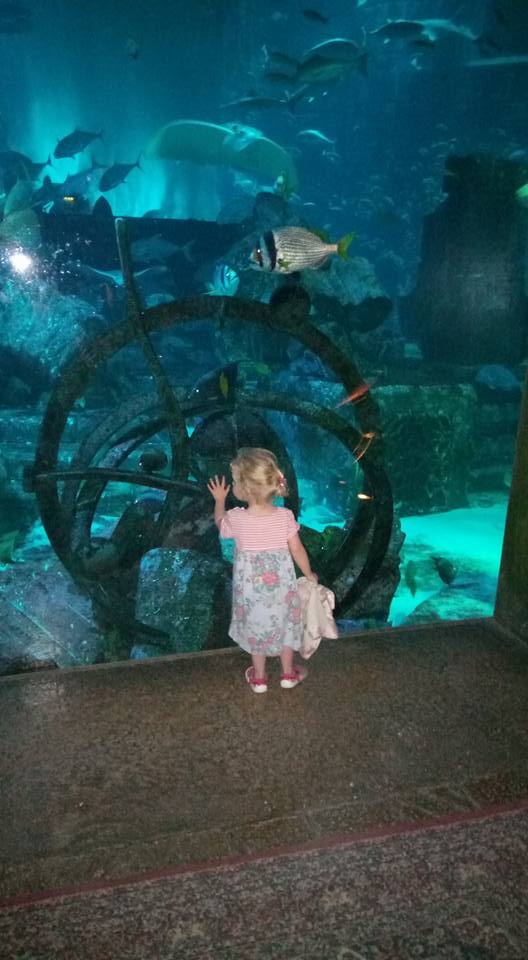 Atlantis Aquarium Dubai