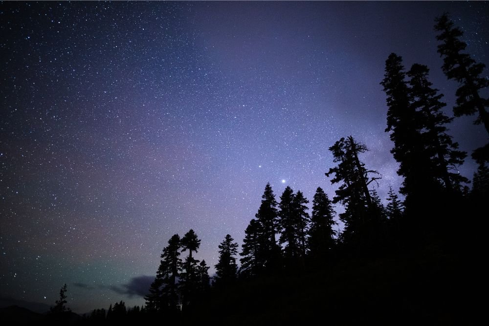 Lake Tahoe at Night- a moonlit starry sky above an alpine forest